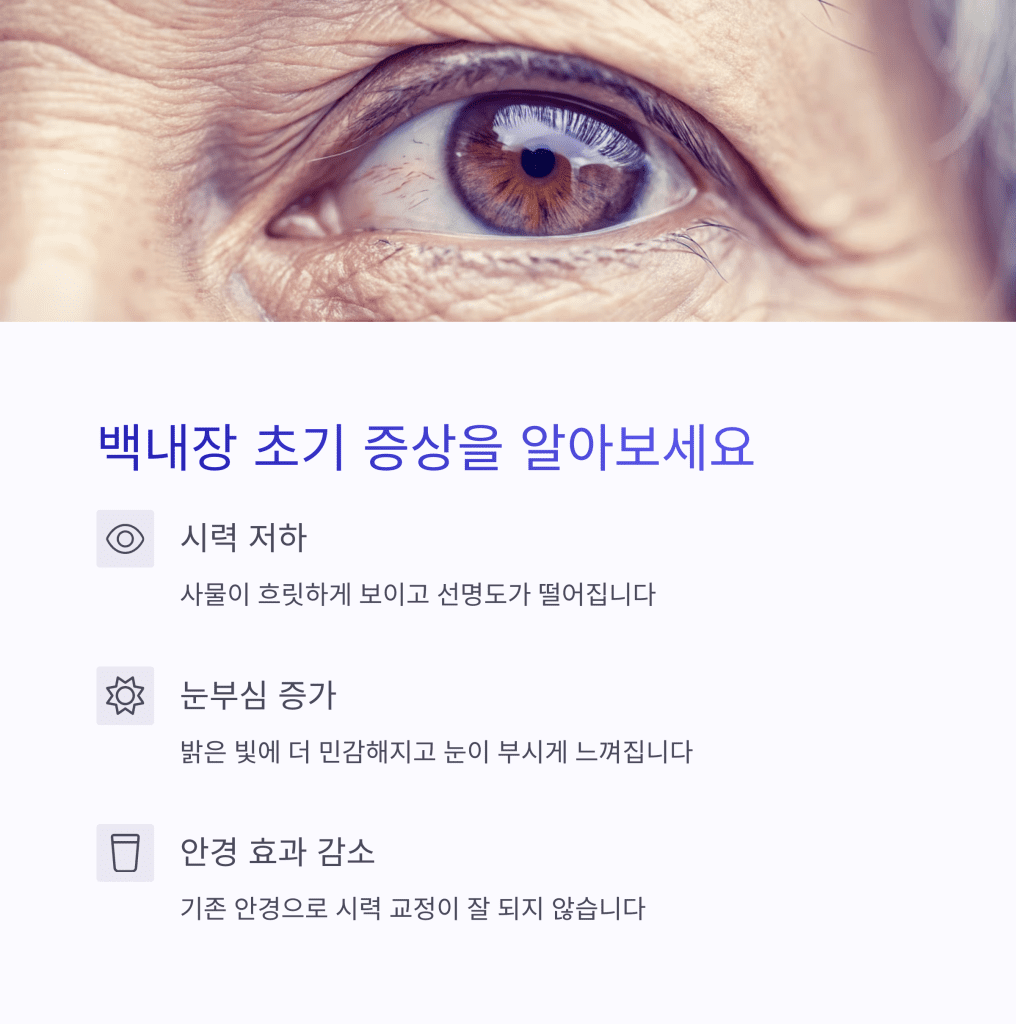 눈 침침할 때 꼭 해야 할 백내장 초기 대처법 3 2 10