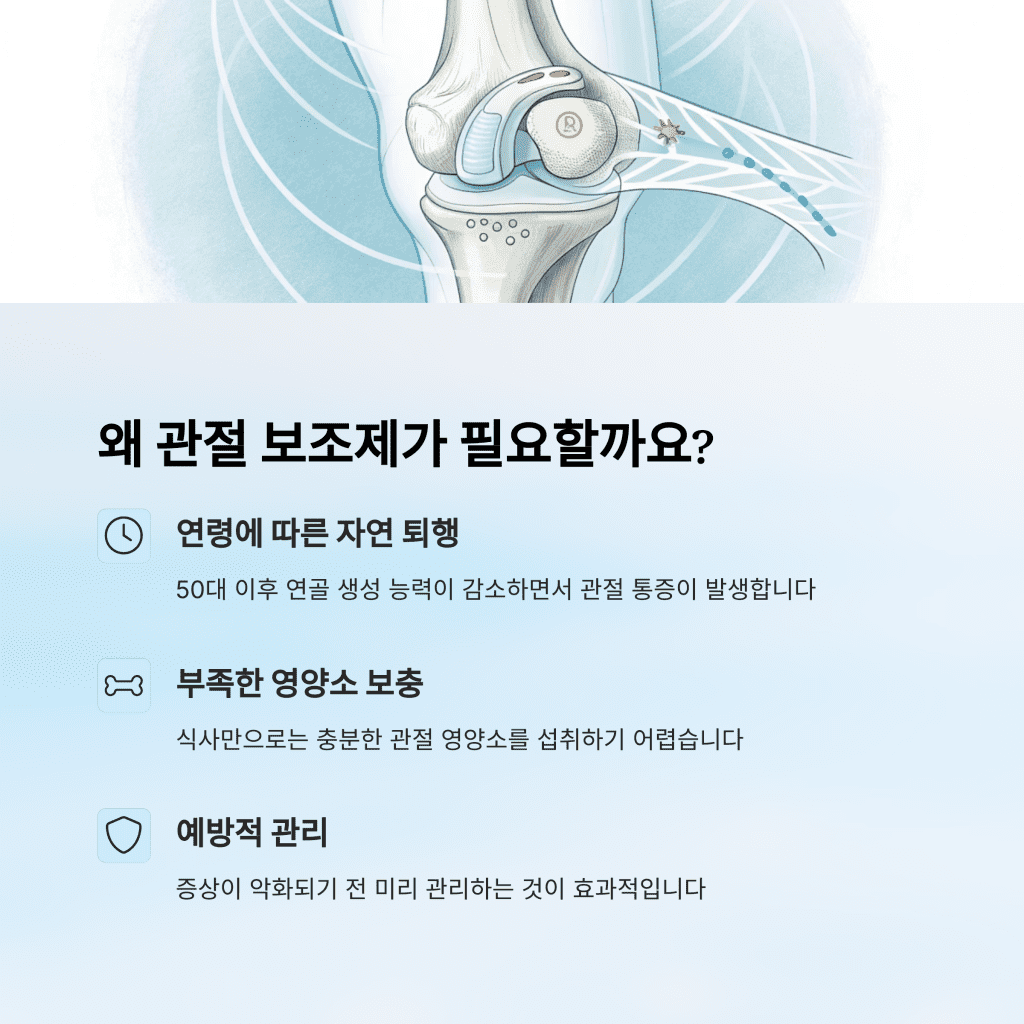 관절에 좋은 보조제 고르는 방법 | 영양제 추천도 포함 3 2 13