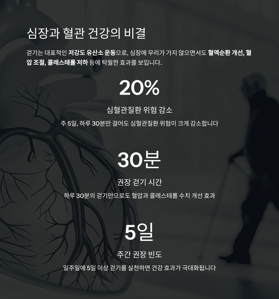 걷기만 해도 건강해진다? 60대를 위한 걷기 효과 총정리 3 3 2
