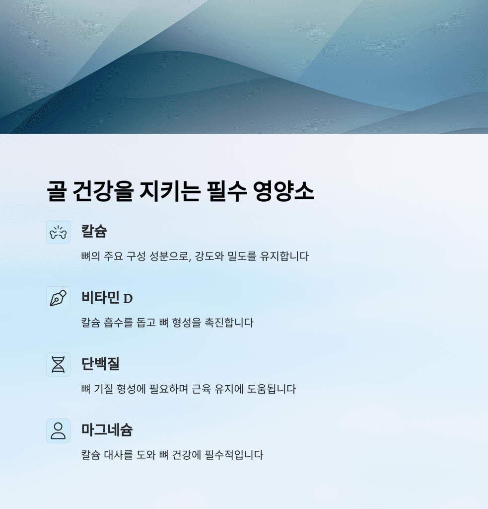 노년기 골다공증 예방을 위한 식단 구성법 4 3 22