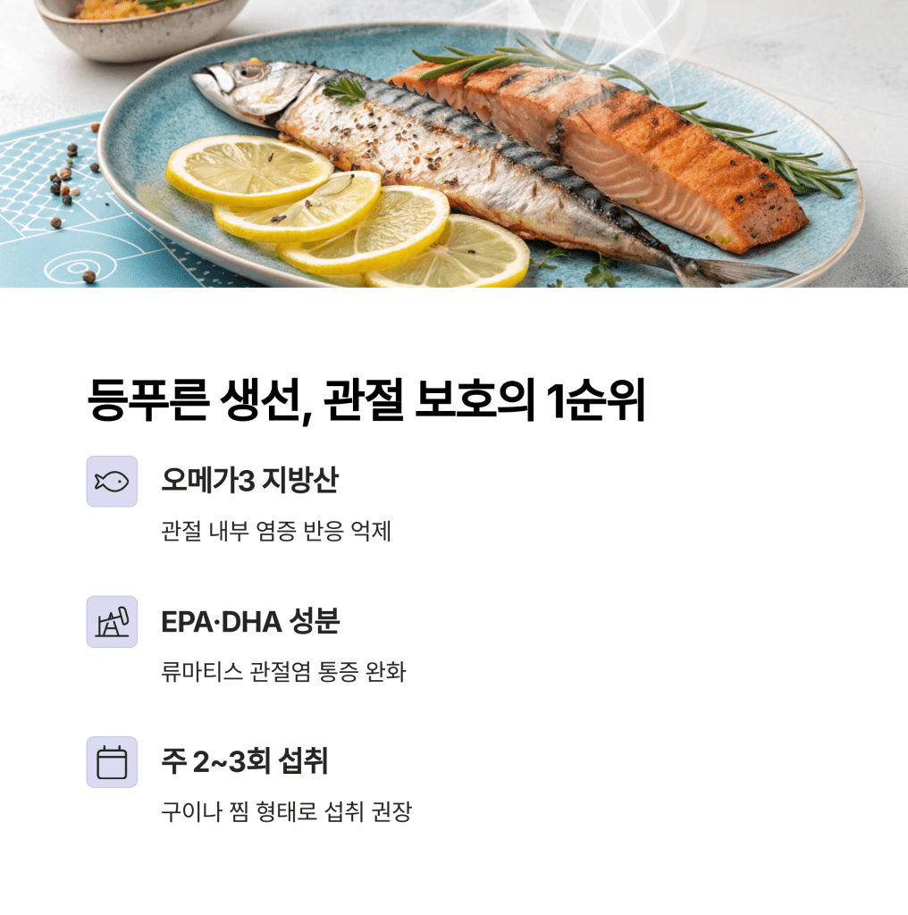 관절이 아프신가요? 60대에 필요한 관절 강화 식단 3 3 1