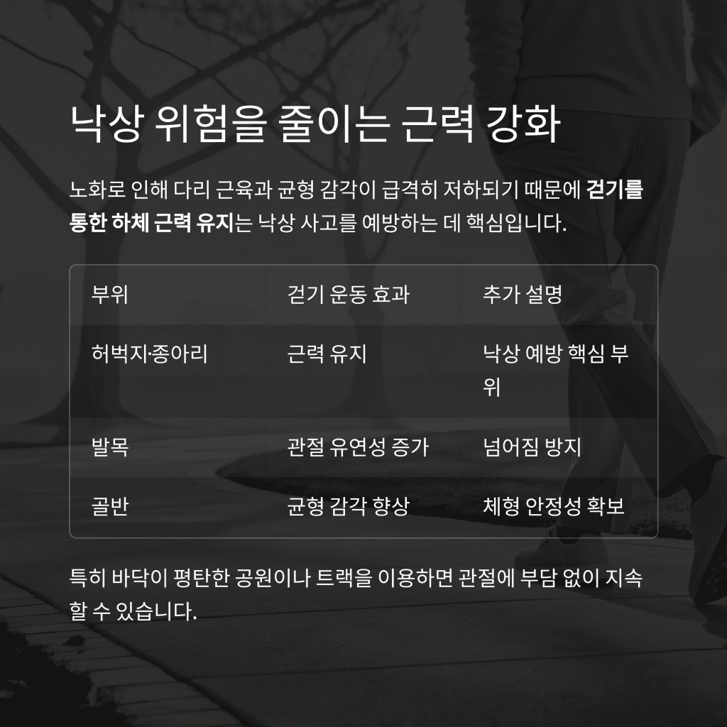 걷기만 해도 건강해진다? 60대를 위한 걷기 효과 총정리 4 4 3