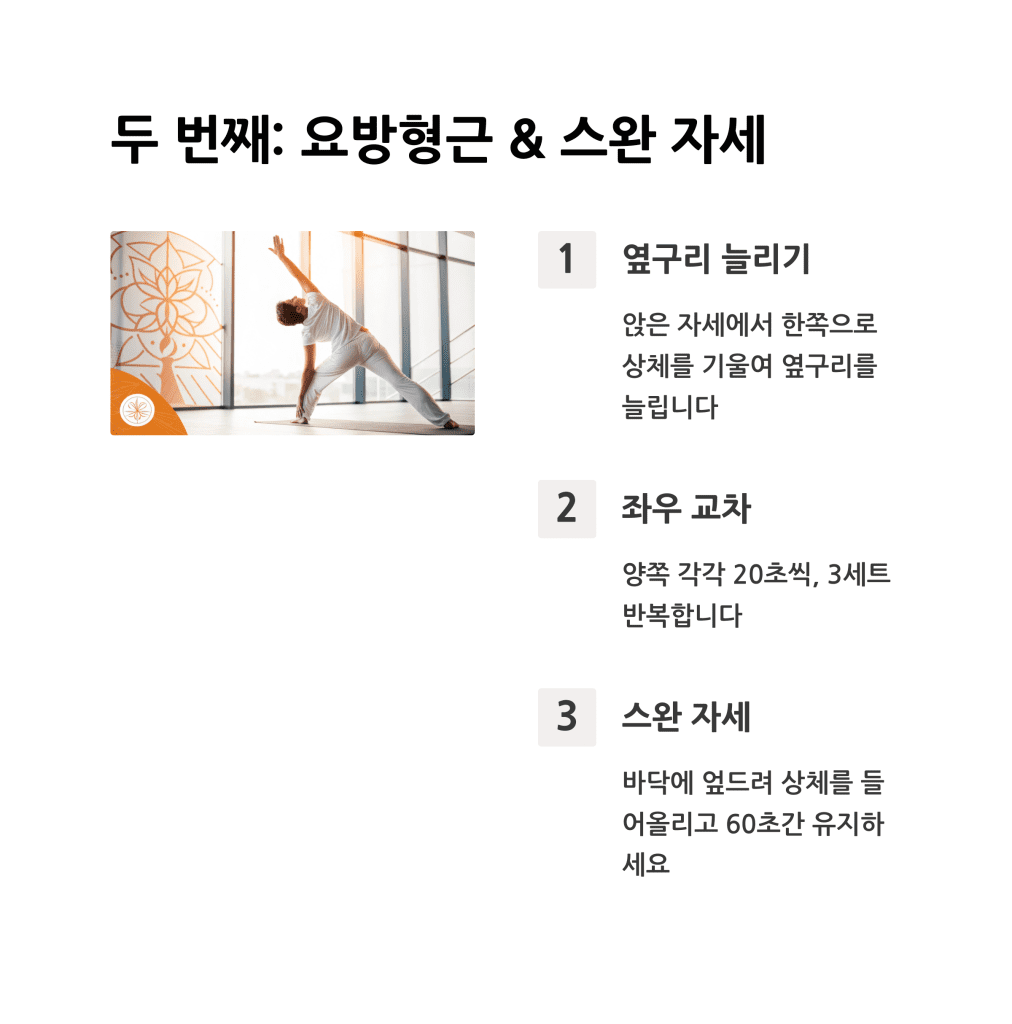 허리 디스크 예방하는 아침 스트레칭 5 5 and