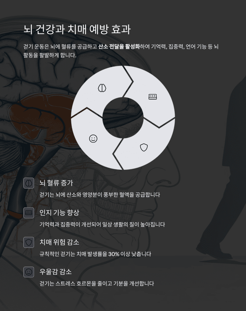 걷기만 해도 건강해진다? 60대를 위한 걷기 효과 총정리 6 6 2