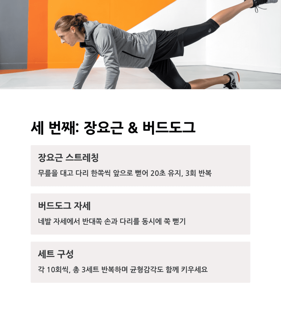 허리 디스크 예방하는 아침 스트레칭 6 6 and