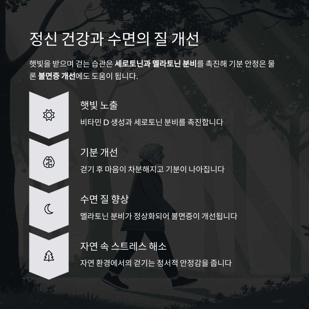 걷기만 해도 건강해진다? 60대를 위한 걷기 효과 총정리 7 7 3