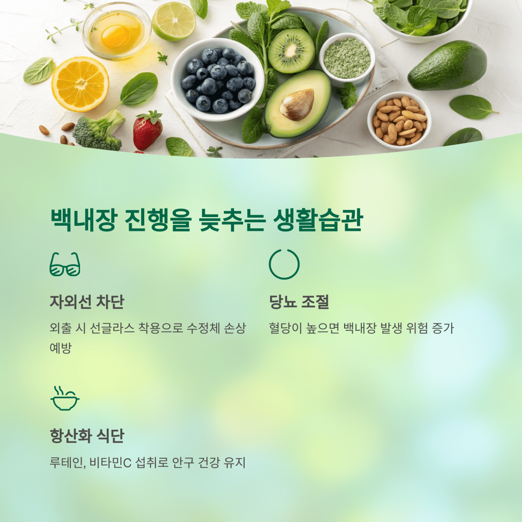 시야가 흐릿해졌다면? 백내장 검사는 언제부터 받아야 할까 7 7 8