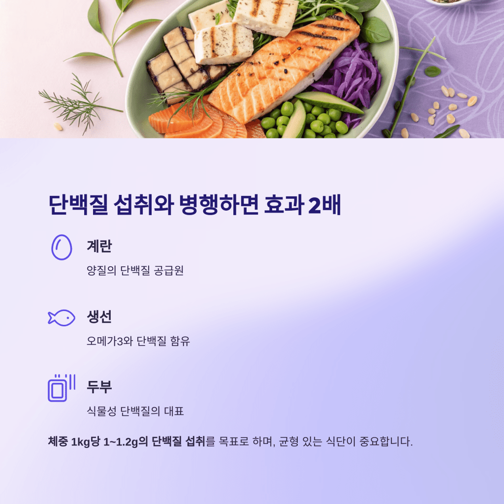 근육 빠지는 속도 막는 법, 60대 근력운동 루틴 8 8 2