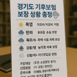 경기도 기후보험 보장 상황 총정리