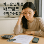 카드값 연체 중 배드뱅크 신청